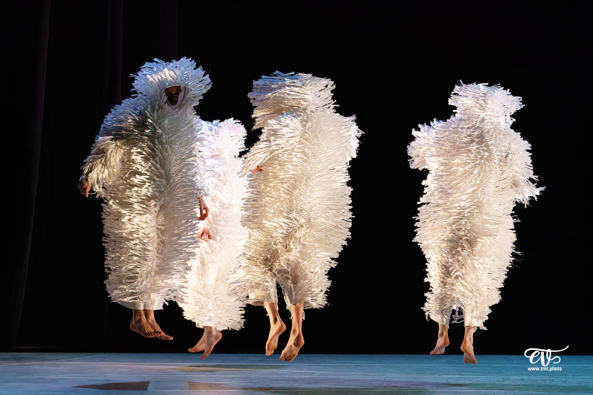 A4 (COMME LA FEUILLE) CIE CHICOS MAMBO